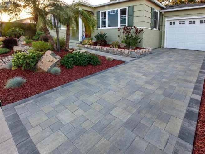 Quetzalito Tree Service